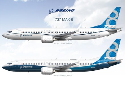 Boeing 737 MAX 8 house schemes