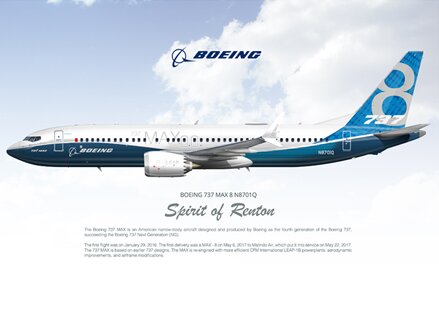 Boeing 737 MAX 8 house scheme