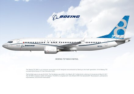 Boeing 737 MAX 8 house white scheme