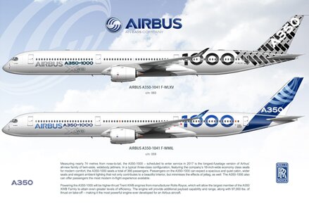Airbus A350-1000 house schemes